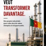 Cameroun : le pari de la transformation industrielle