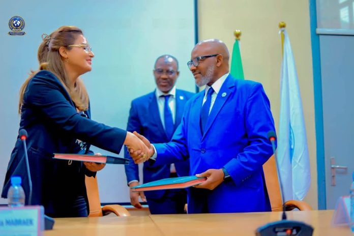 leila ben braiek figure de la cooperation economique